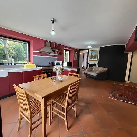 Mimosa * أومغنا